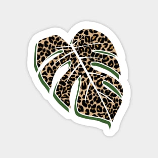 Leopard Print, Monstera Leaf, on Pink Sticker